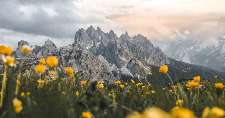 5,3 miliarde de imagini în fiecare zi, la nivel global: seria HONOR 600 simplifică editarea foto cu ajutorul AI