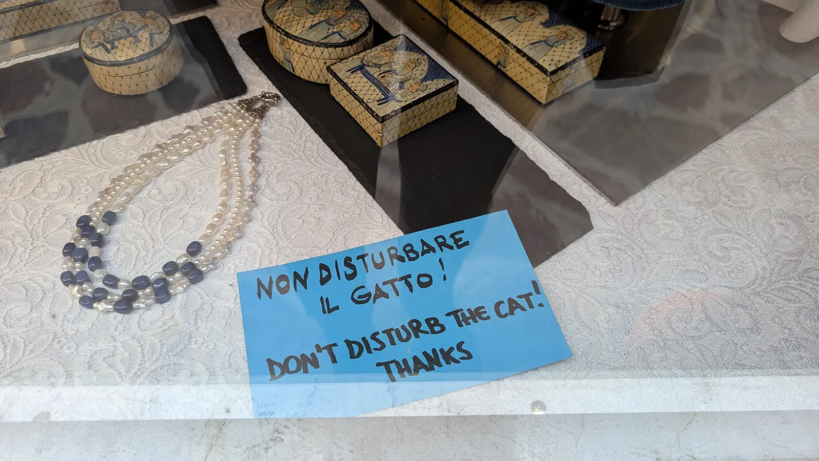 Chiar și turiștii trebuie să adopte obiceiul de a nu deranja pisica, credit foto: Sabina Suru --> Mesaj „Nu deranjați pisica” într-o vitrină din Veneția