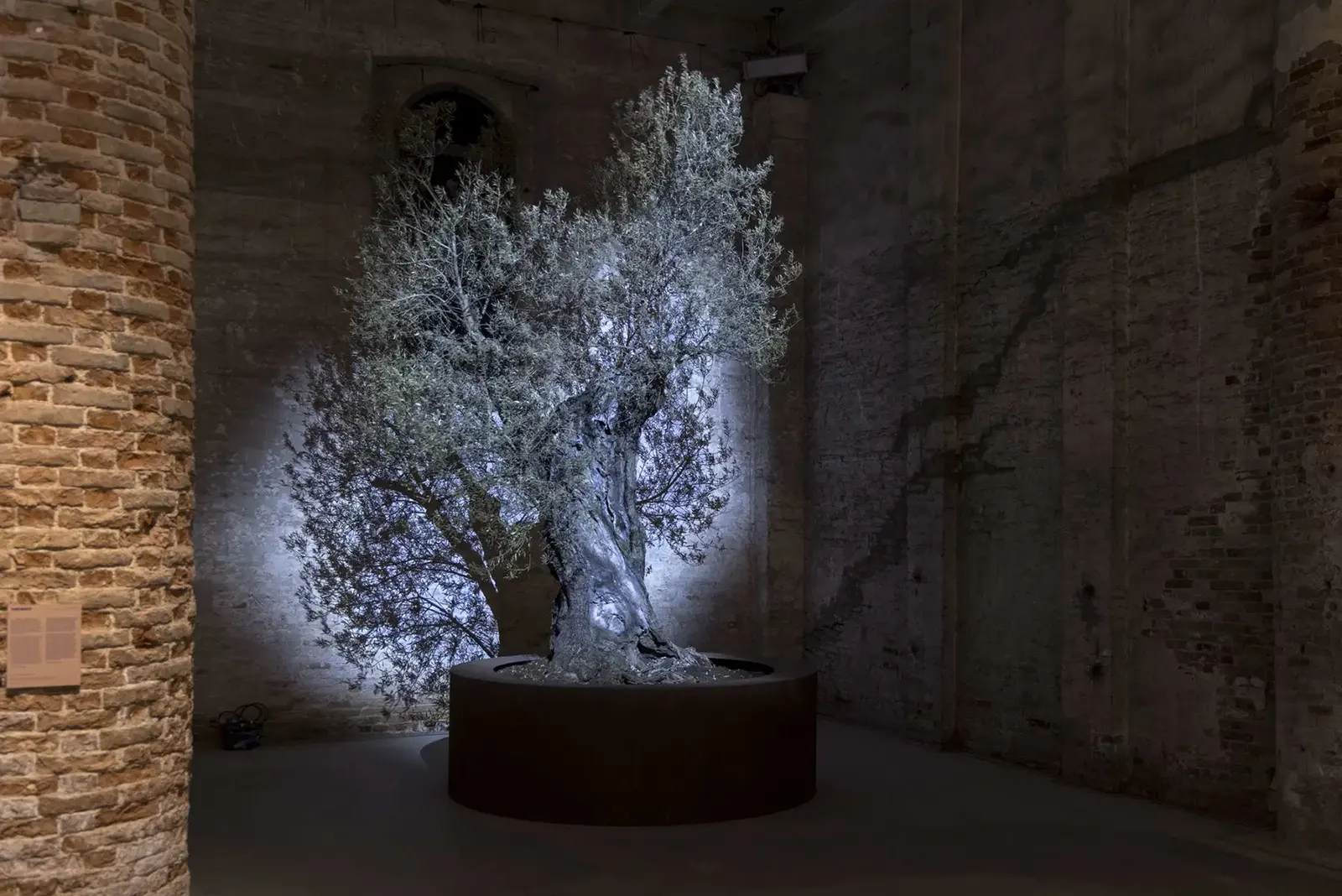 Theo Eshetu, Garden of the Broken Hearted, 2026, credit foto: Marco Zorzanello Instalația Garden of the Broken Hearted de Theo Eshetu la Bienala de la Veneția 2026