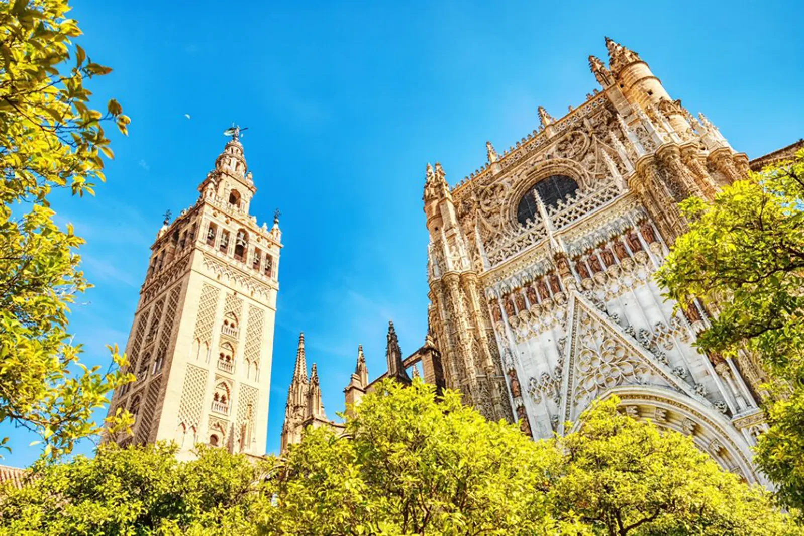 Catedrala din Sevilla și Giralda sevilla-si-malaga-2026 - fornt