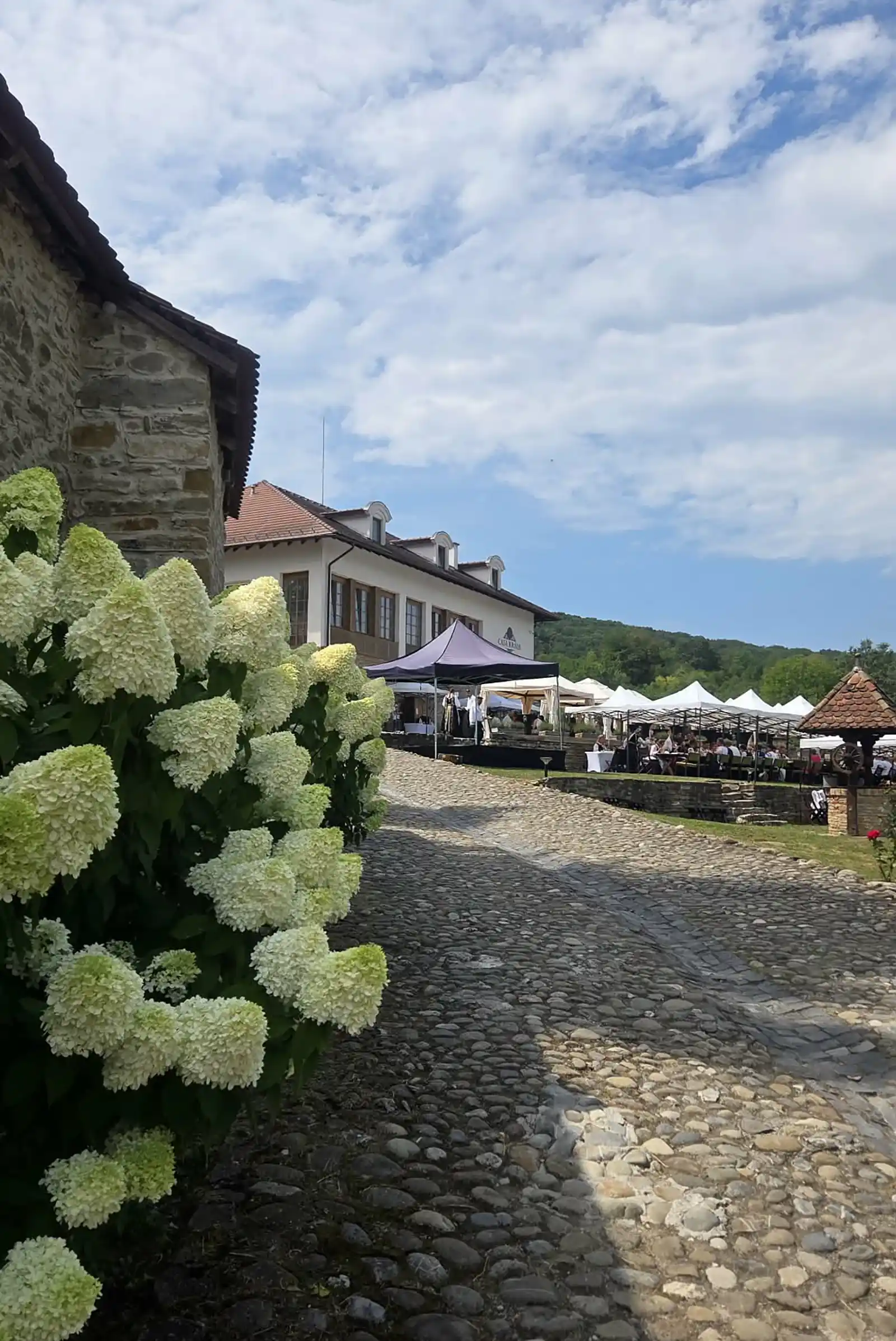 Criț - Casa Kraus