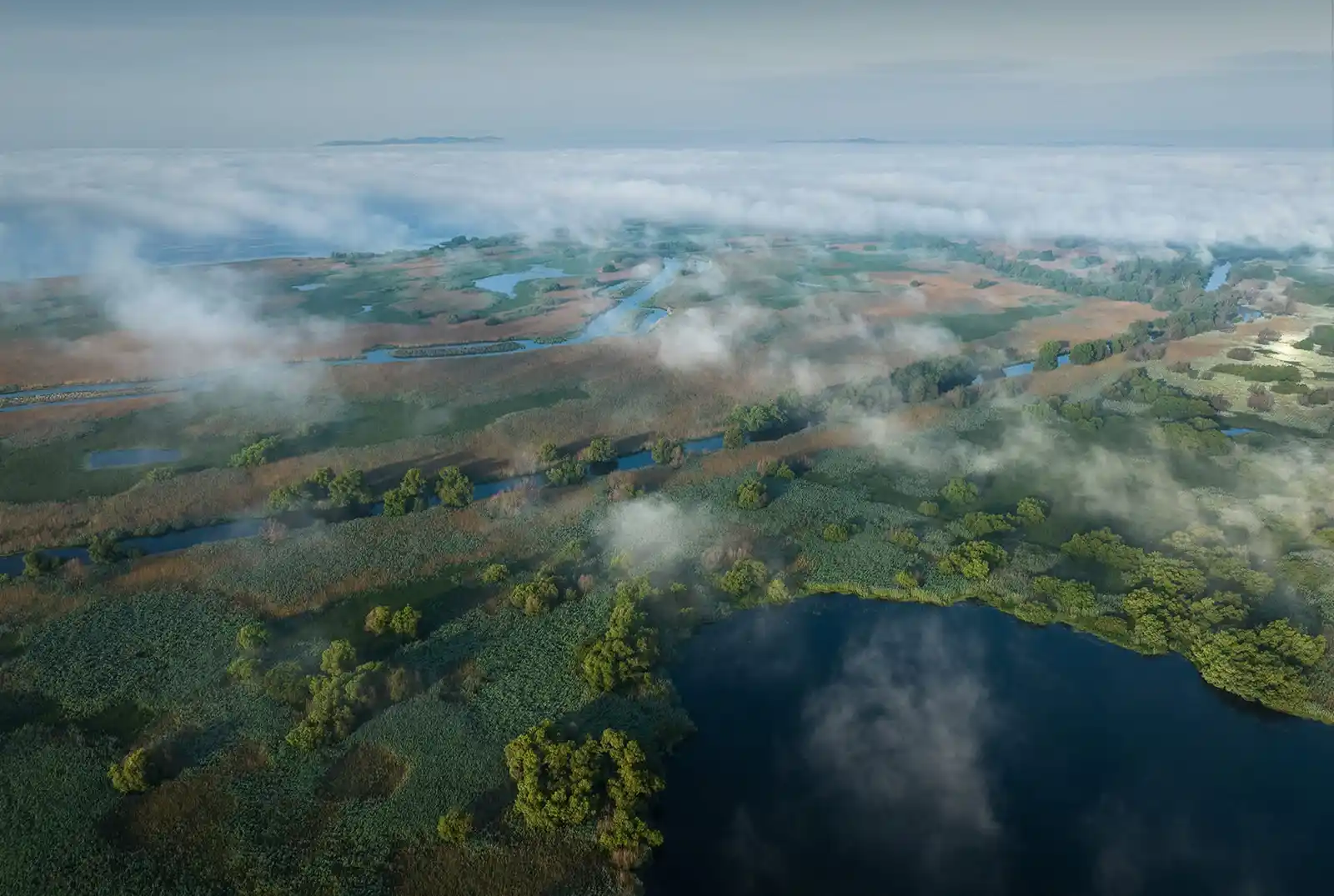 Echipa documentarului &bdquo;Delta Sălbatică&rdquo; susține proiectele de reconstrucție ecologică și renaturare derulate de organizațiile de mediu