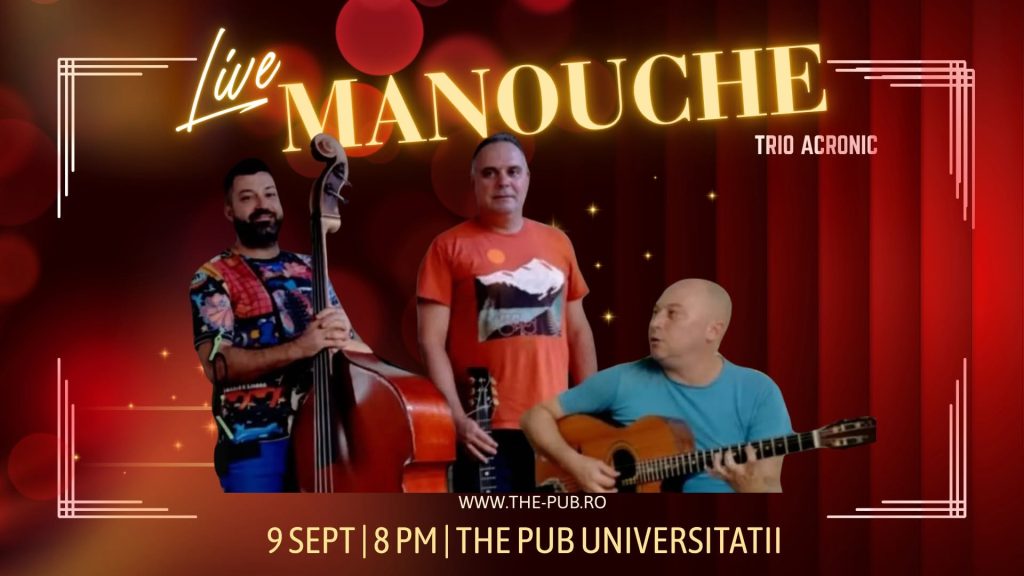 Trio Acronic - Manouche @ The Pub - Universității