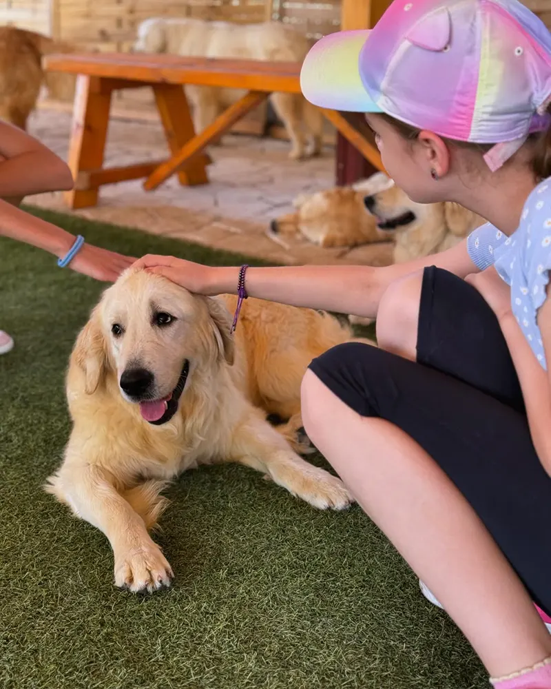 copiii bucurându-se de prezența unui golde retriver - activități cu copiii în București în august