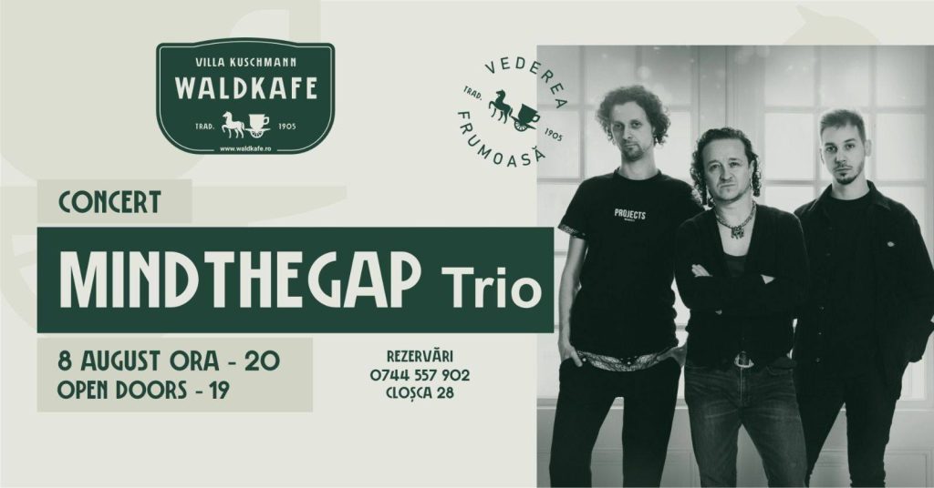 Concert MINDTHEGAP Trio @ Waldkafe