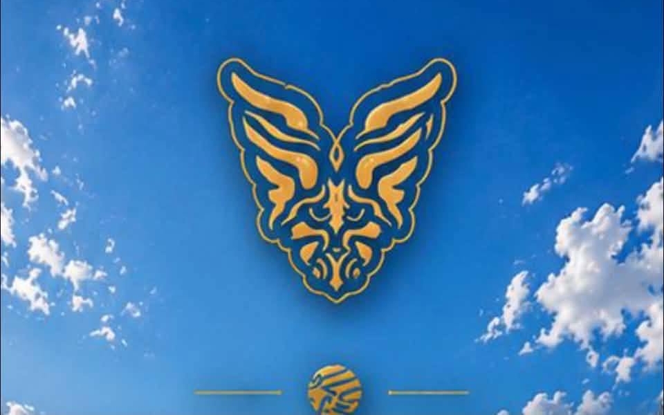 vuiet camp around logo