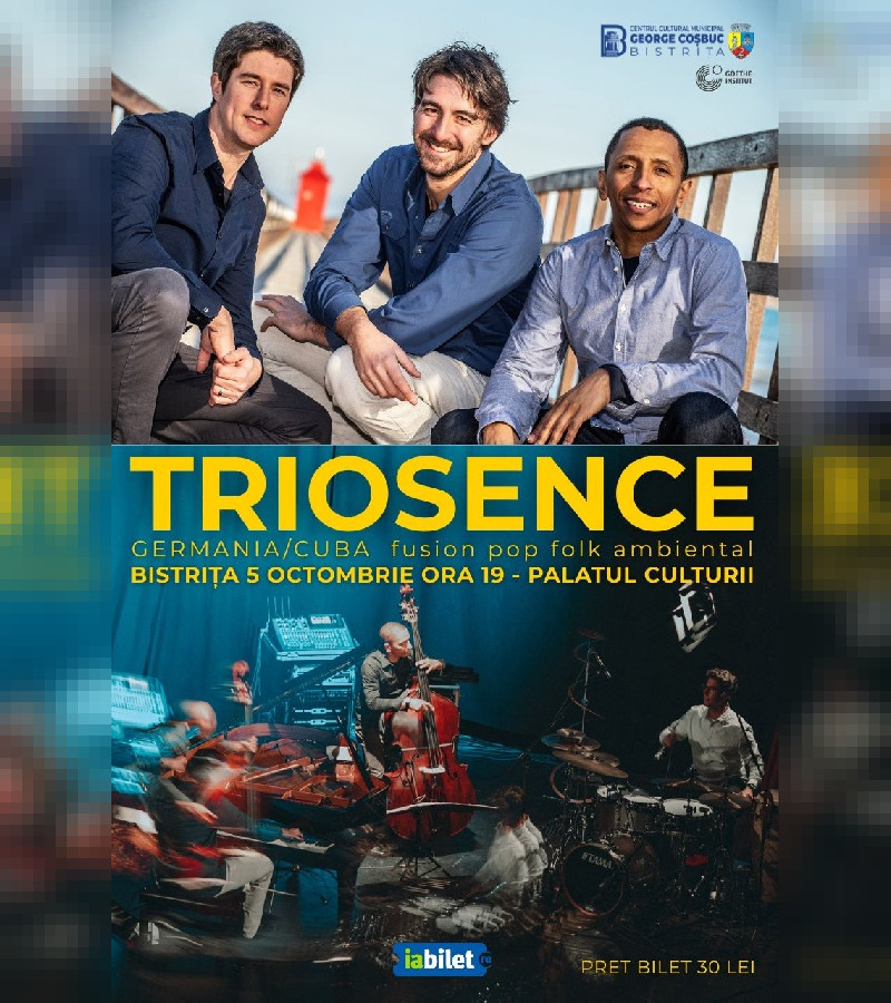 TRIOSENCE - Concert fusion pop folk ambiental