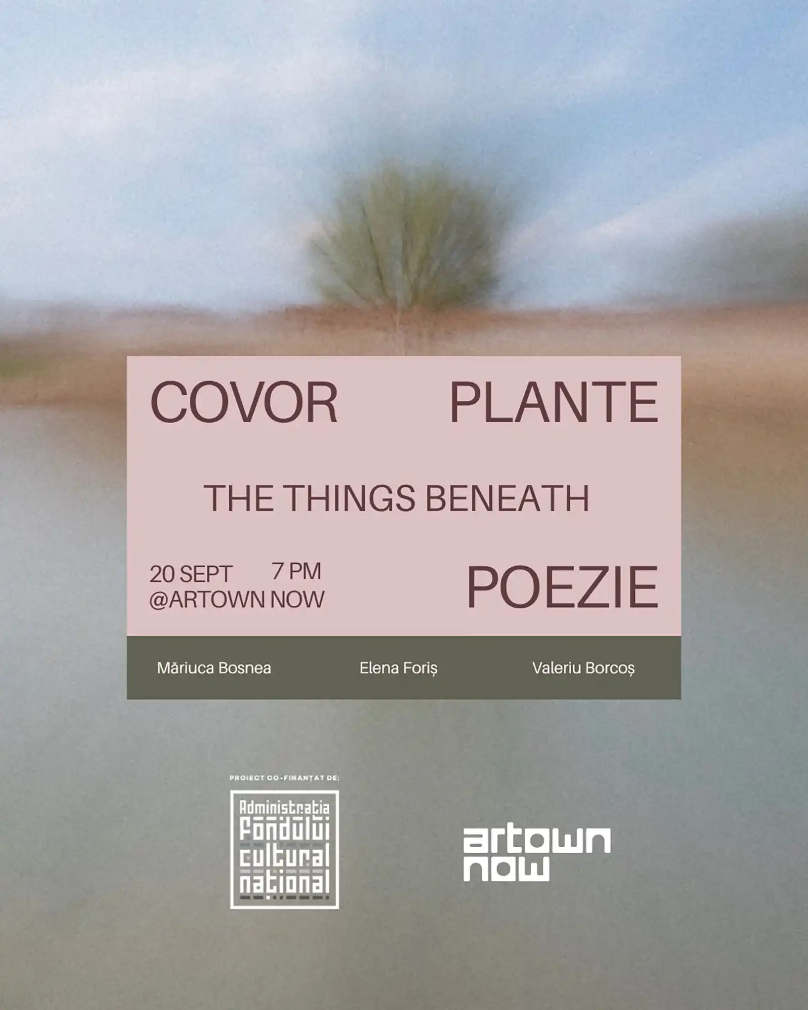 THE THINGS BENEATH sau Ce rămâne sub suprafață. COVOR PLANTE POEZIE #3 la Artown NOW, Ploiești
