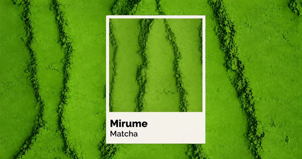 Mirume: brandul românesc care aduce matcha autentic din Uji, Kyoto, direct în ceașca ta