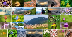 Concursul de fotografie „Muntele Tâmpa – simbol al Brașovului” - finaliști vor expune fotografiile la Apollonia