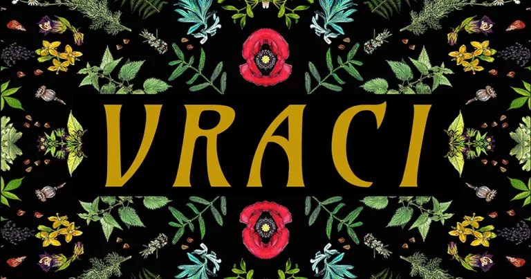 VRACI. 02-30.10.2026 la Centrul de Studii Vizuale