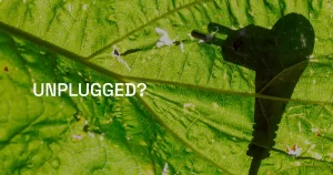 Proiectul Unplugged - un laborator de sustenabilitate în artă, tehnologie și energie