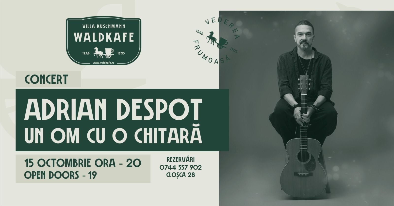 Concert Adrian Despot ~ Un Om cu o Chitară