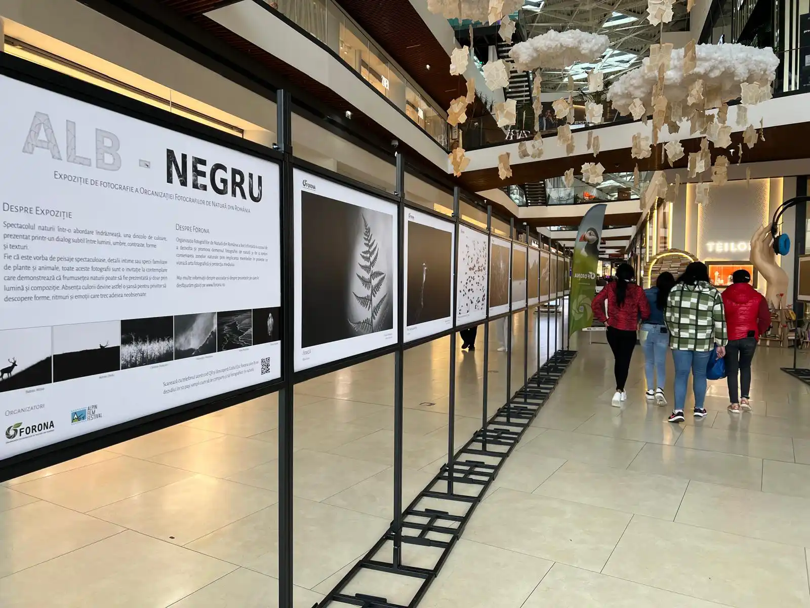 Expo Alpin Film Festival - Alb - Negru - AFI Brasov