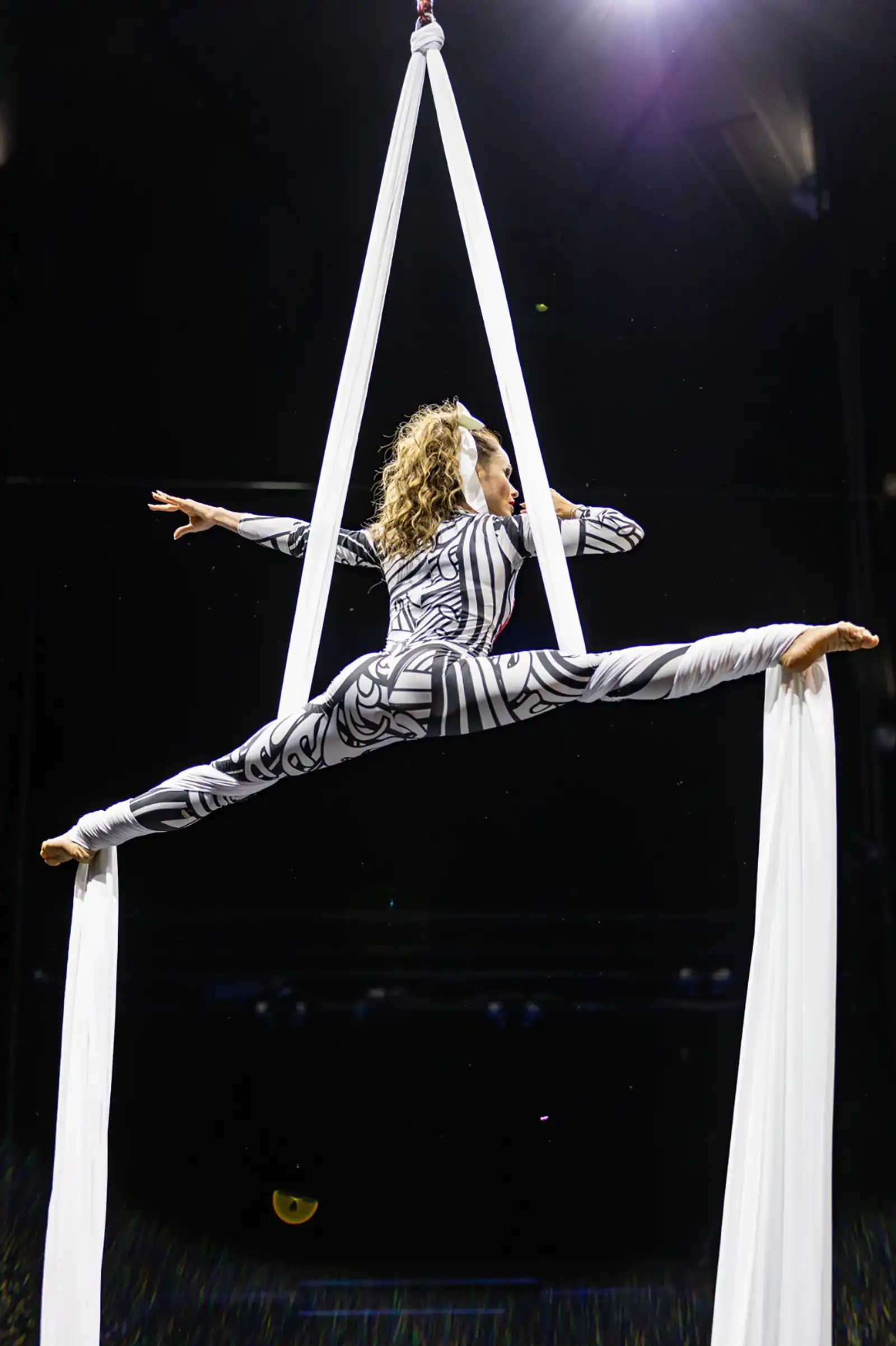 Circul Metropolitan București deschide stagiunea cu spectacolele HIT