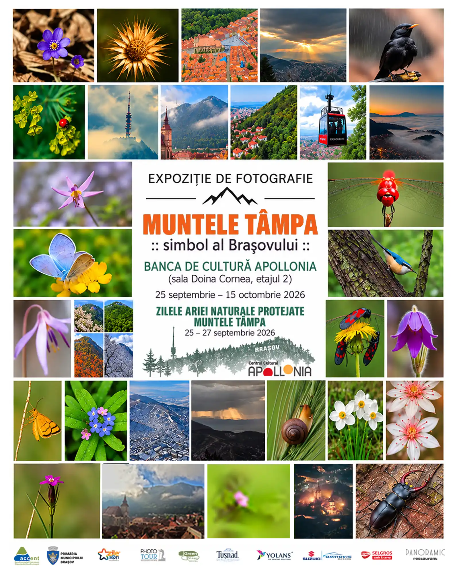 Zilele ariei naturale protejate Muntele Tâmpa – ediția a III-a