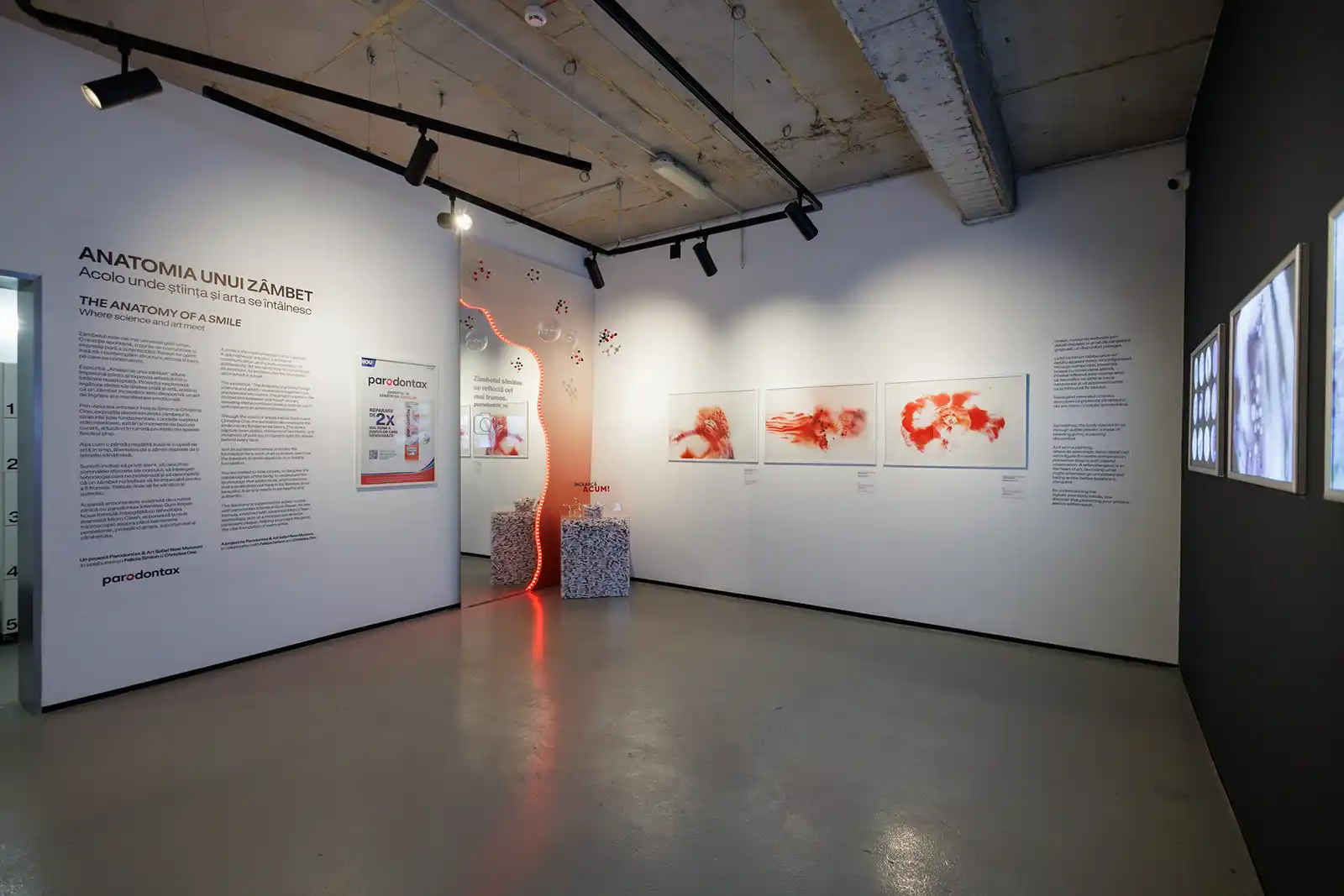 Anatomia unui zâmbet: Știința îngrijirii orale și arta contemporană s-au întâlnit la vernisajul expoziției parodontax de la Art Safari