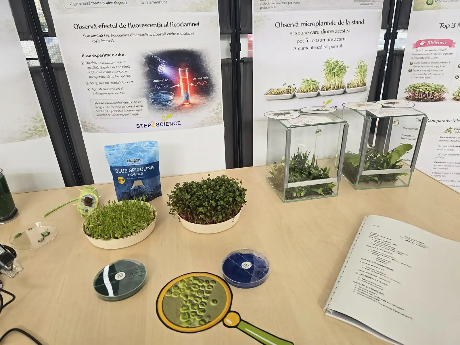 Step2Science Stiintescu 2026 copy
