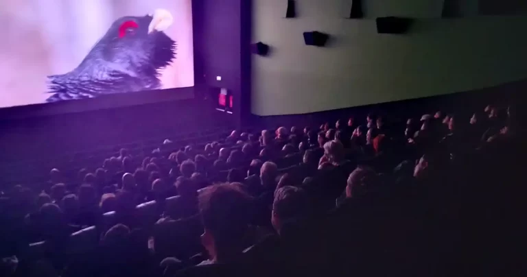 A început cea de-a 11-a ediție Alpin Film Festival