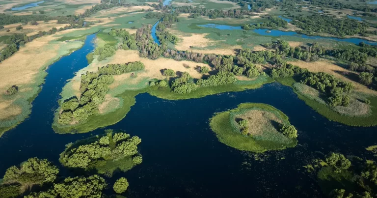 Peisaj aerian din Delta Dunării surprins pentru documentarul Delta Sălbatică