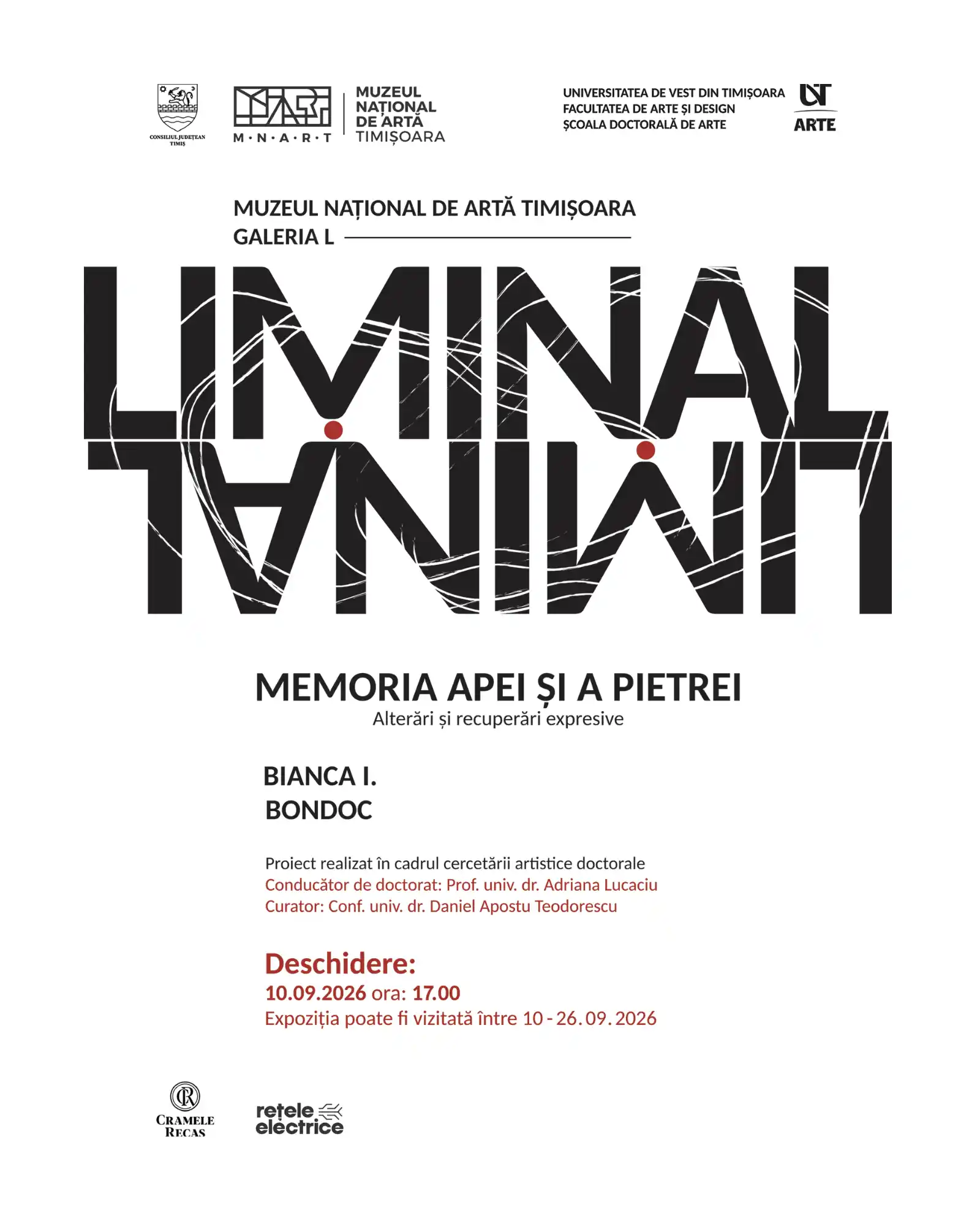 „LIMINAL” – între memorie, materie și transformare, la Muzeul Național de Artă Timișoara