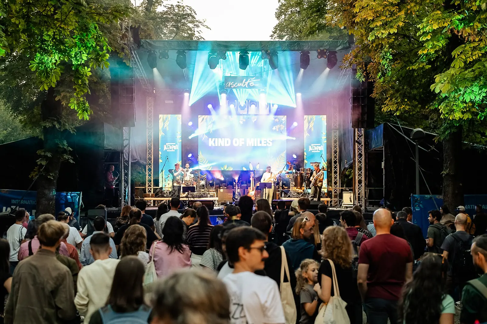 Public la scena Jazz in the Park Competition 2026
