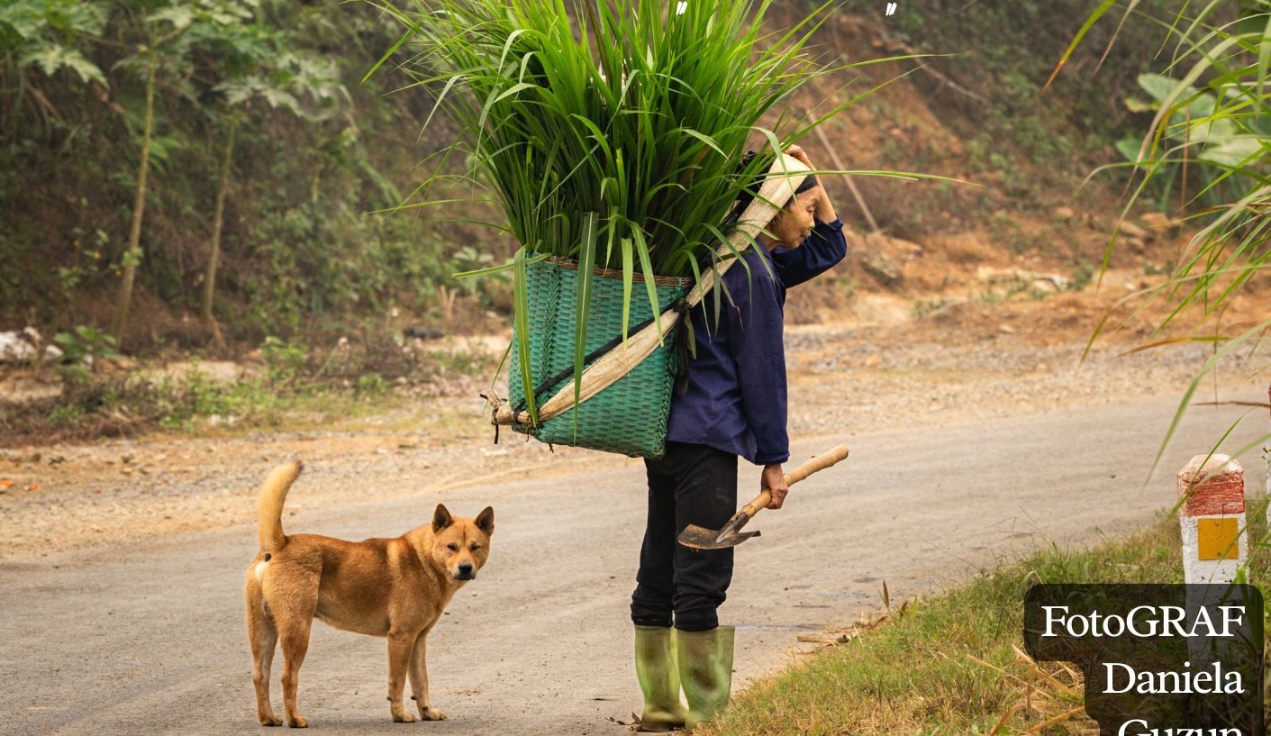 Expoziție de fotografie: „Vietnam. Dincolo de cărțile poștale”