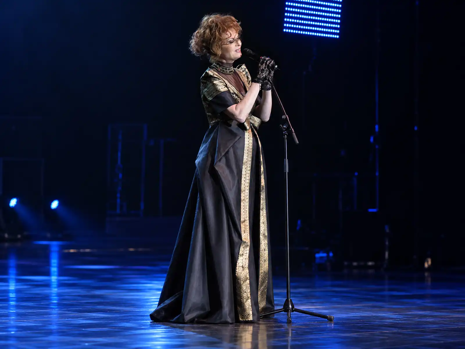 Angela Similea poză din concert