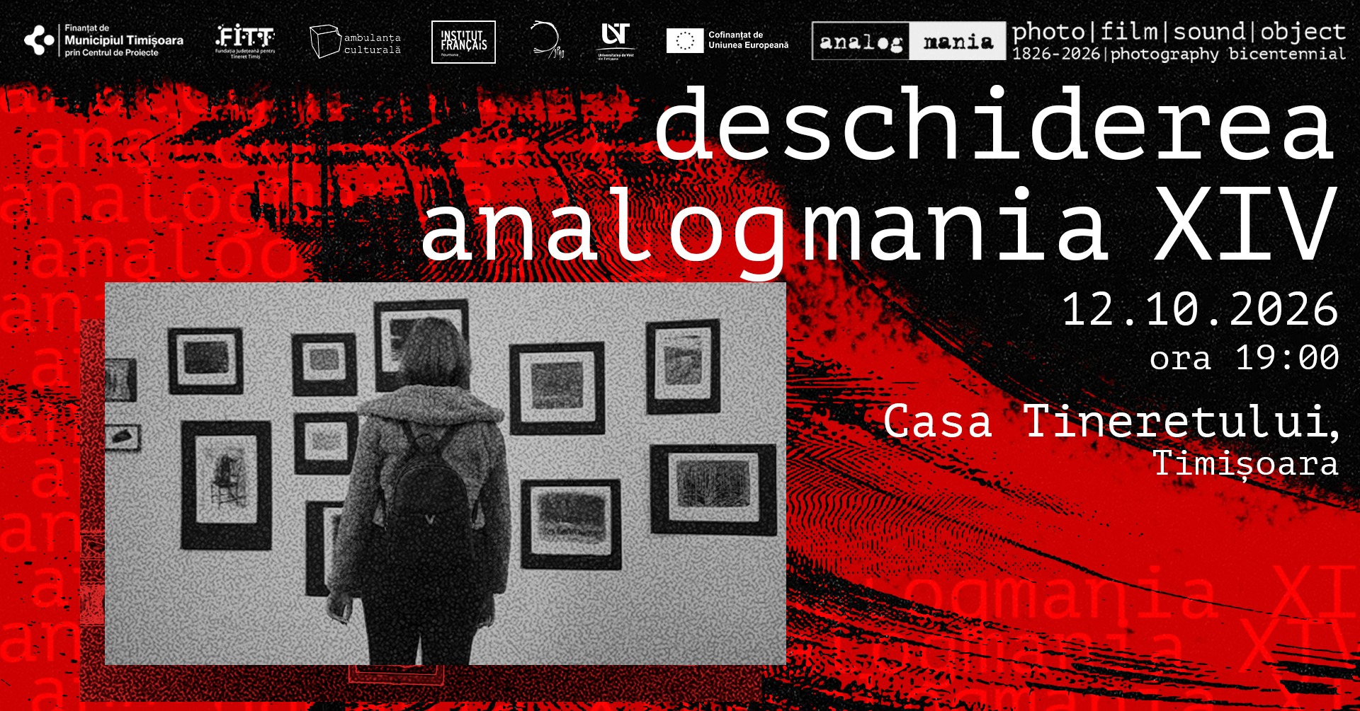 Deschiderea Analog Mania XIV