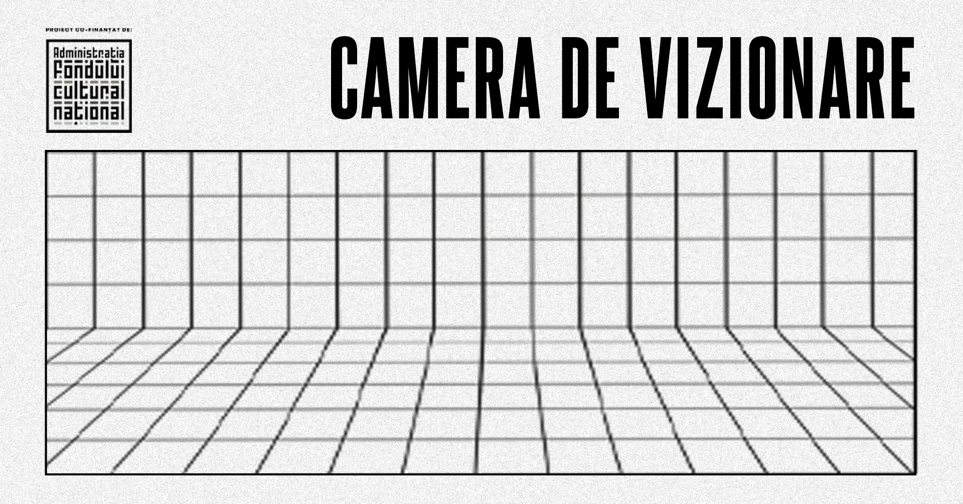 CAMERA DE VIZIONARE