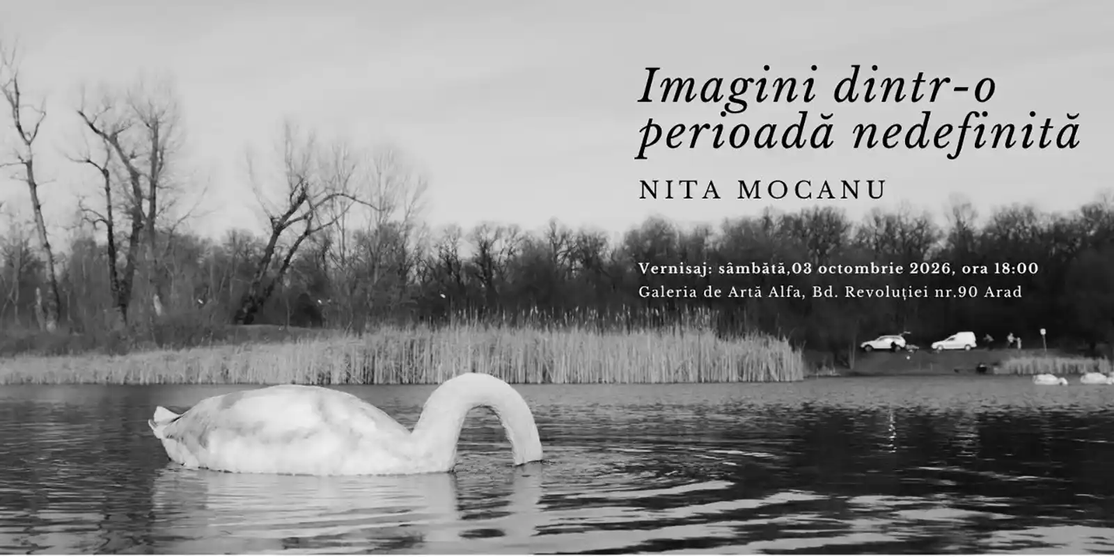 Nita Mocanu deschide la Arad expoziția &bdquo;Imagini dintr-o perioadă nedefinită&rdquo;