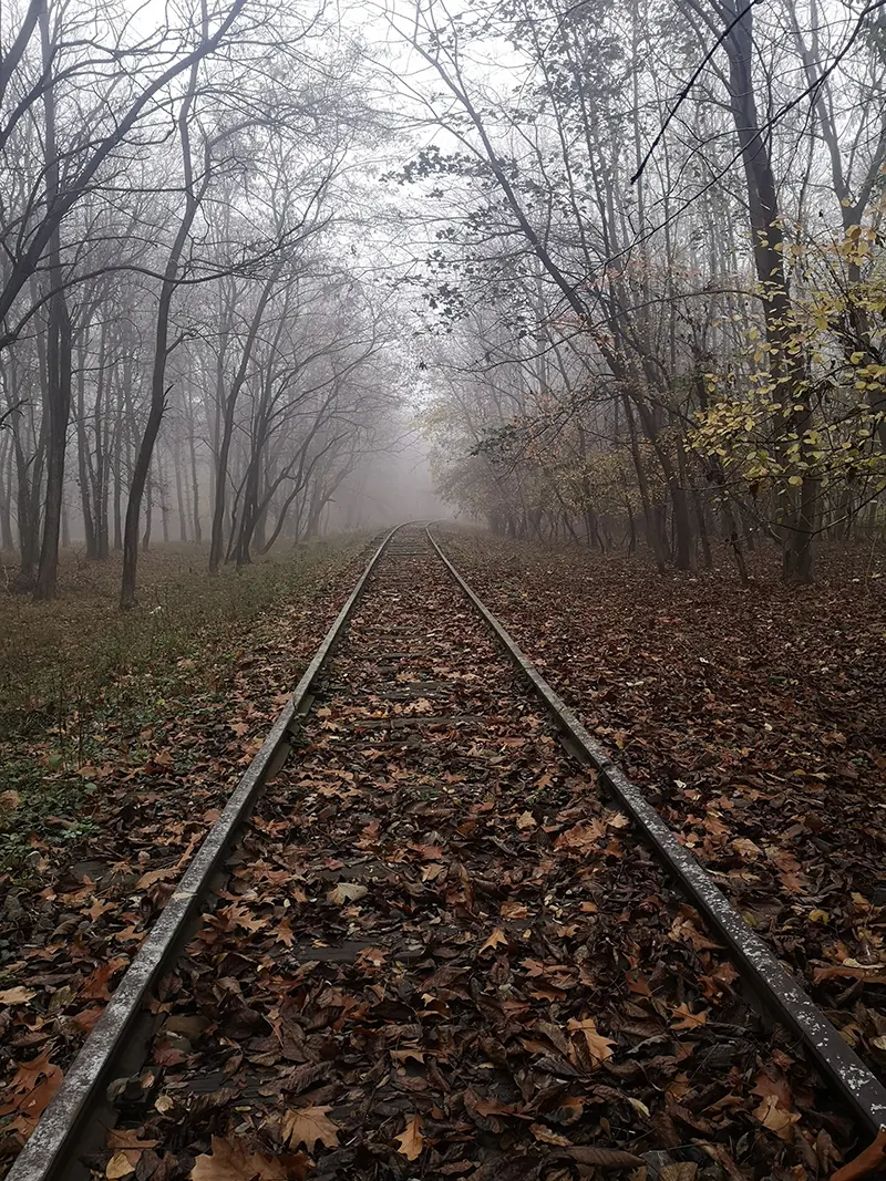Șină de tren într-un peisaj de toamnă, printre copaci și frunze căzute | anxietatea de toamnă