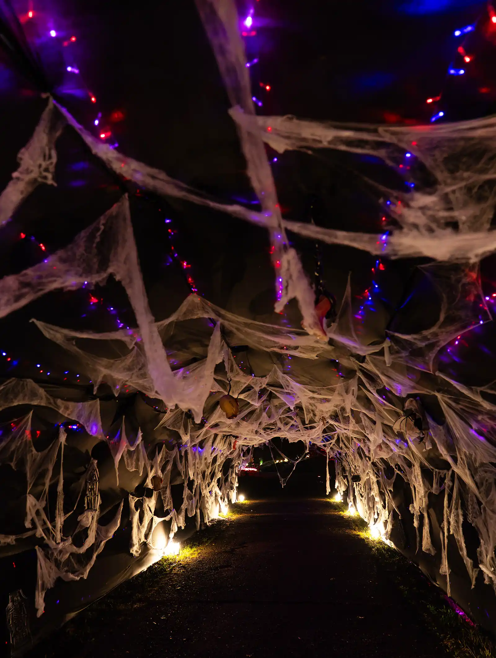 Halloween la Lumina Park București: dovleci, vrăjitoare și instalații luminoase