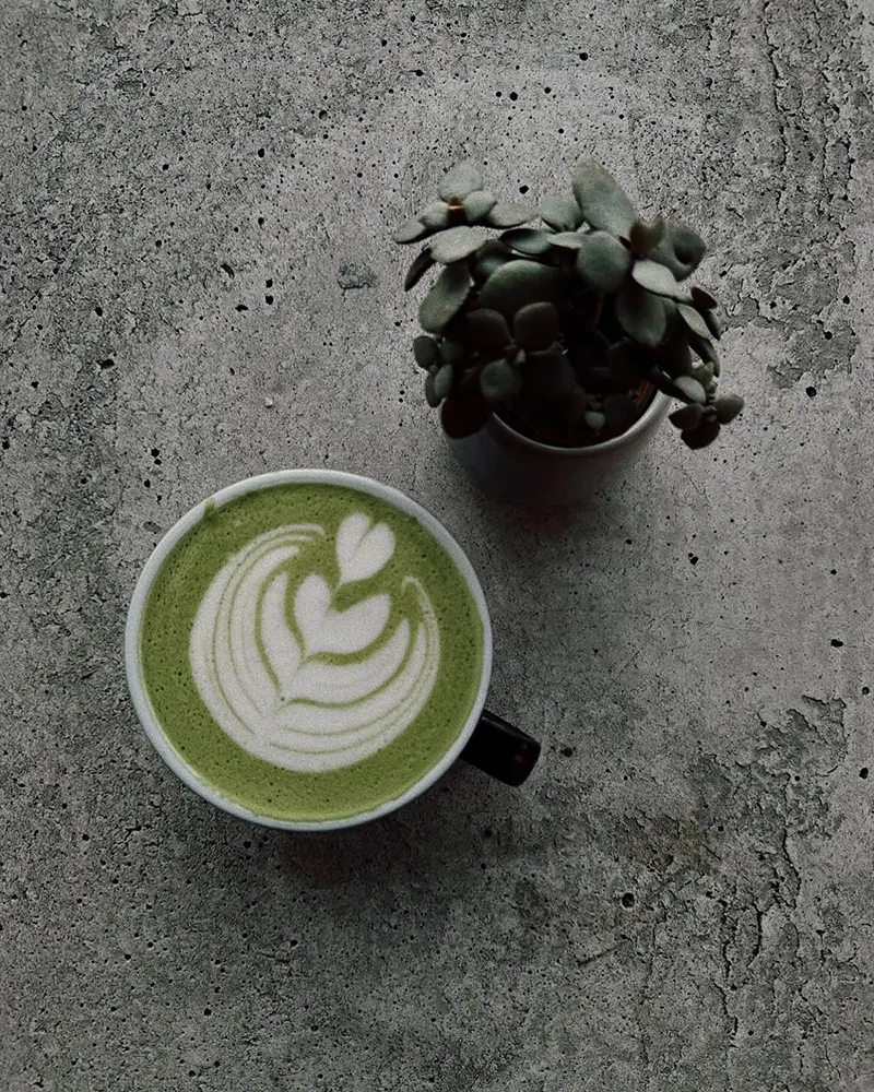 Ceașcă de matcha lângă o plantă suculentă la NINE BAR Coffee Shop | matcha în București