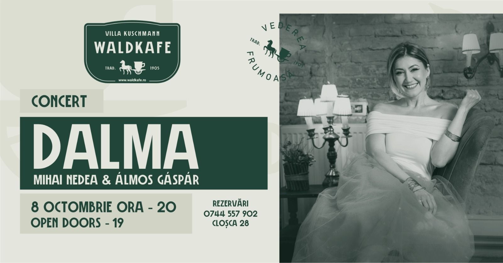 Concert Dalma with Mihai Nedea & Álmos Gáspár