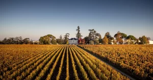 crame spectaculoase - Podgoriile Château Cheval Blanc și clădirea domeniului viticol din Saint-Émilion